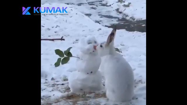 Новый год идет с новым годом New year is coming happy new year Соли нав меояд соли нав муборак 2021 смотреть онлайн