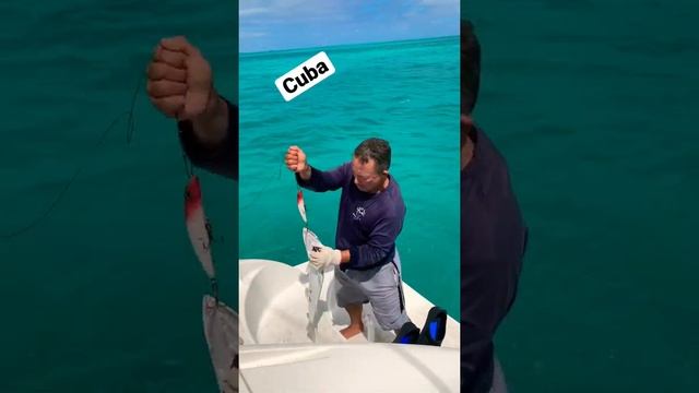 Рыбалка на Кубе.2021 fishing in cuba. смотреть онлайн