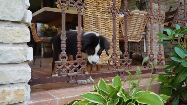 Дом МЕЧТЫ СВОИМИ РУКАМИ в 2022. Обзор дома и Рум Тур. Загородный дом. Современный дом смотреть онлайн