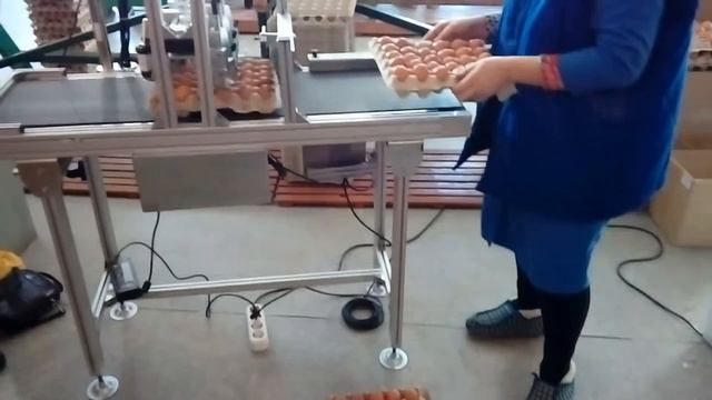 Маркировка яиц в лотке по 30 шт. смотреть онлайн