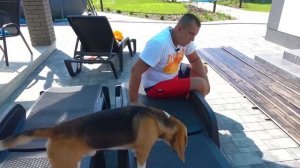 ШЕРЛОК И ЕГО БАССЕЙН. БРОС ШОУ ПЕТ