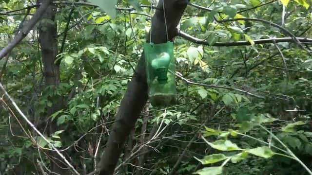 ОПАРЫШ для Рыбалки | СВОИМИ РУКАМИ | В ДОМАШНИХ УСЛОВИЯХ смотреть онлайн