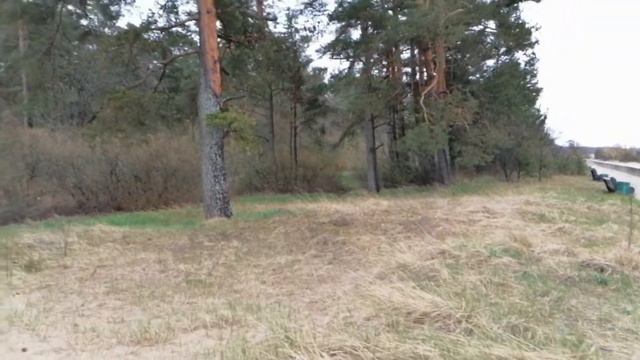 Сестрорецкий курорт, Финский залив. 15.05.2022. смотреть онлайн