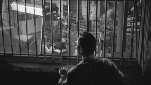 FILM OF THE DAY: The Whip Hand (1951) смотреть онлайн