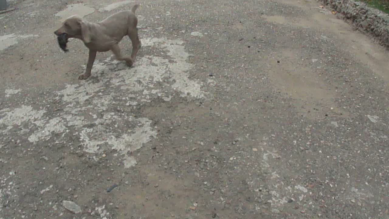 Ладушке 2 мес смотреть онлайн