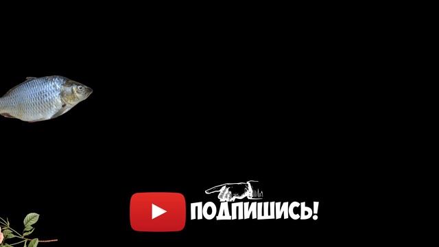 Анимированные плашки для YouTube смотреть онлайн