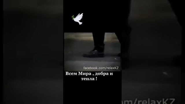 23 марта 2023 г. смотреть онлайн