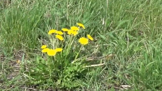 деревни в Белгородской обл белгородская область кугутки бессоновка белгородская область смотреть онлайн