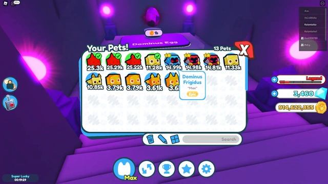 СЕКРЕТНОЕ ЯЙЦО С ДОМИНУСАМИ В ПЕТ СИМУЛЯТОРХ! ТОП ПЕТЫ В Pet Simulator X! смотреть онлайн