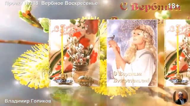 Проект №218 Вербное воскресенье смотреть онлайн