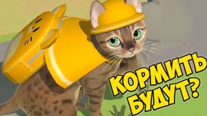 Отель КОТОВ и КОШЕККошачий курорт Котята Кэт сим