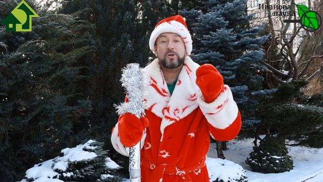 ВСЁ СБУДЕТСЯ! БОЛЬШОЙ ПОДАРОК ДЛЯ ЗРИТЕЛЕЙ ИВАНОВОЙ НАУКИ! смотреть онлайн