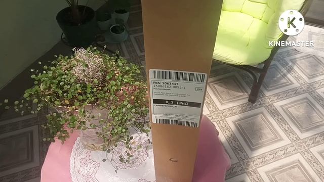 Роза Белла Вита из ОЗОНА. Распаковка. смотреть онлайн