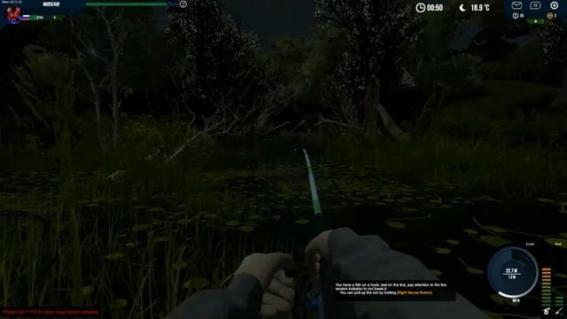 Professional Fishing - фарм денег и опыта на сомах смотреть онлайн