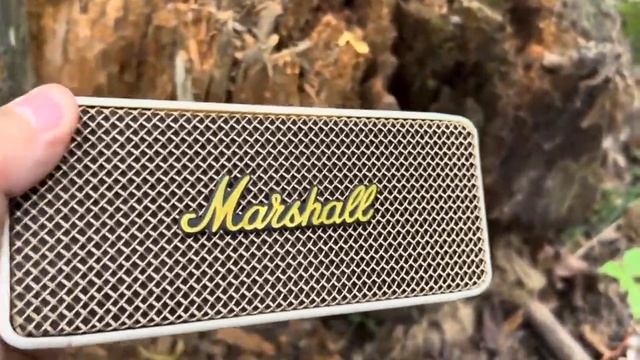 Колонки Marshal Emberton и Willian смотреть онлайн