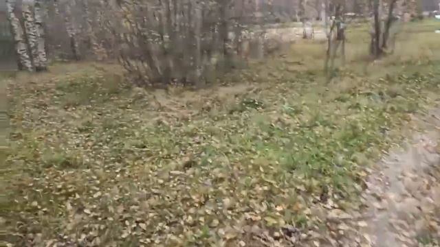 СВОБОДУ КАРАСИКАМ!!! смотреть онлайн