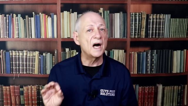 How to Treat a Drywood Termite Infestation Yourself. A MUST see if you have Drywood termites. смотреть онлайн