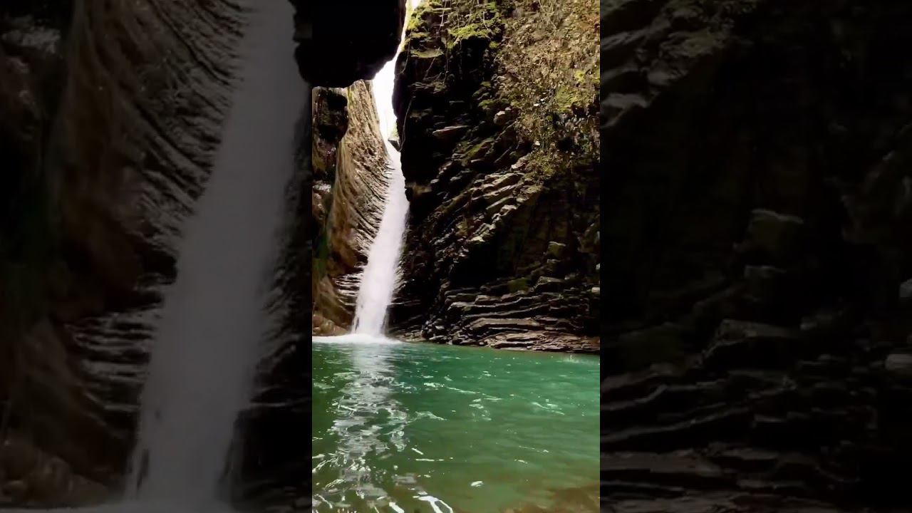 24.03.23 г. Весной особенно красиво в ущельях, когда распускаются первоцветы и много воды #shorts смотреть онлайн