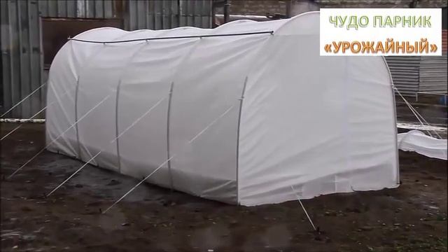 Чудо парник 