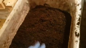 И снова о субстрате. Просеиваем червя старатель!