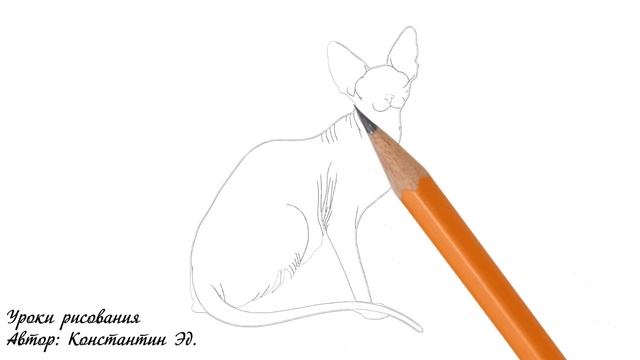 Нарисовать кота карандашом / Сфинкс / как нарисовать кота карандашом поэтапно смотреть онлайн
