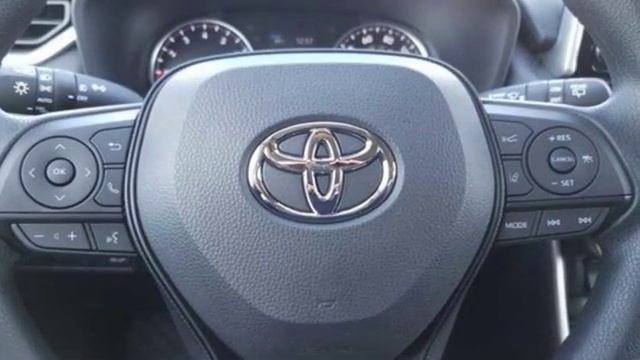 New 2019 Toyota RAV4 Chattanooga TN North Georgia Cleveland, TN #D501516 смотреть онлайн