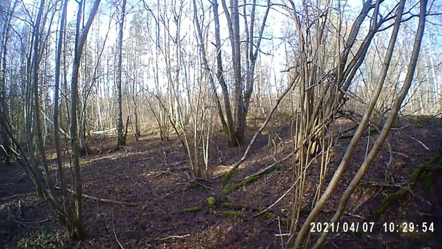 Камера - очки. Первое видео. Прогулка по лошадиной тропе в апреле. смотреть онлайн