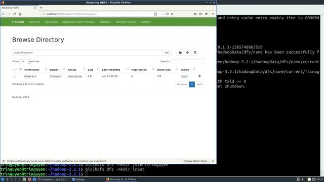 Install Apache Hadoop and Apache Spark on Lubuntu in Pseudo-Distributed Operation mode смотреть онлайн
