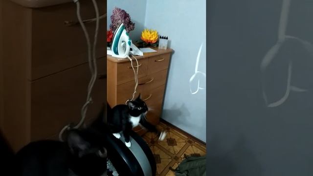 НАПАДЕНИЕ ПУМЫ смотреть онлайн