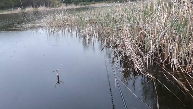Маховое удилище с боковым кивком на карася. смотреть онлайн