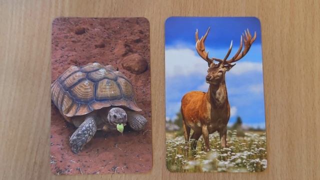 Тест на развитие интуиции и ясновидения. 17 Задание. Как развить ясновидение. Тест на интуицию смотреть онлайн