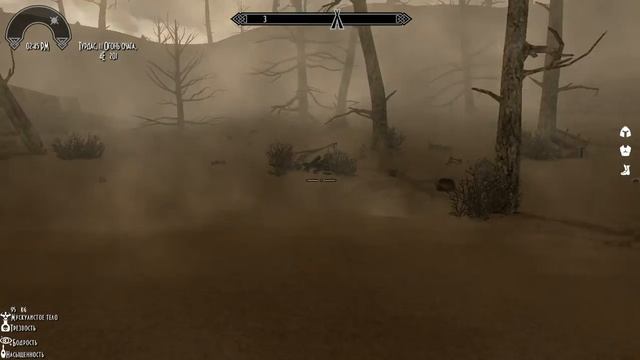 Skyrim association. Серый капюшон Ноктюрнал #7: Исследуем пустыню. смотреть онлайн