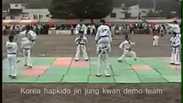 KOREA HAPKIDO JIN JUNG KWAN Démo team смотреть онлайн
