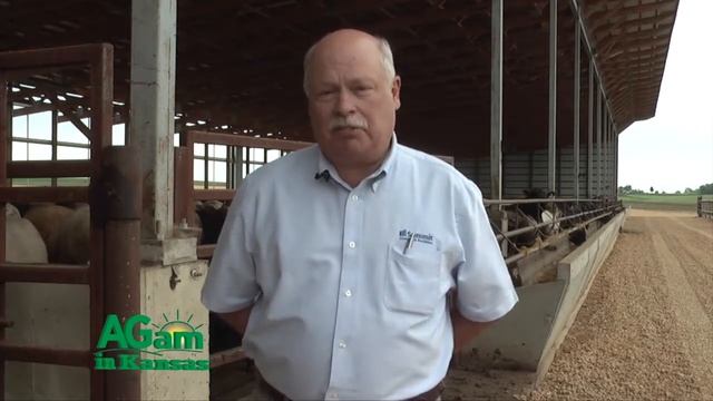 AGam in Kansas - Rich Hines with Summit Livestock Facilities, Feeding Cattle Indoors - June 29, 201 смотреть онлайн