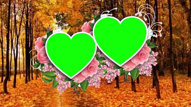 Wedding Frame Green Screen Chroma Key - Copyright FREE Video (EP-9) #cinematography #photography смотреть онлайн