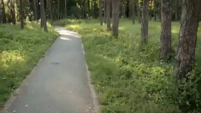 Рекламный ролик МТС - Безлимитный интернет с телефона