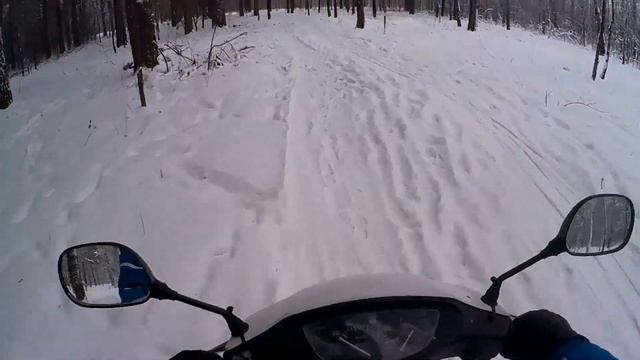 Катнул по снежному лесу на скутере #hondadio #скутер #зимой #покатушки