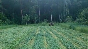 Конная косилка. Косьба мотоблок Беларус 09Н  +  КТ-1