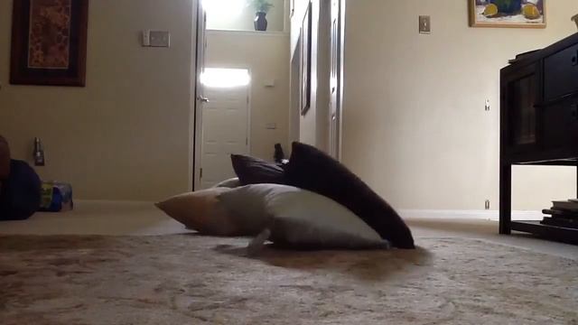 Magic Pillows смотреть онлайн