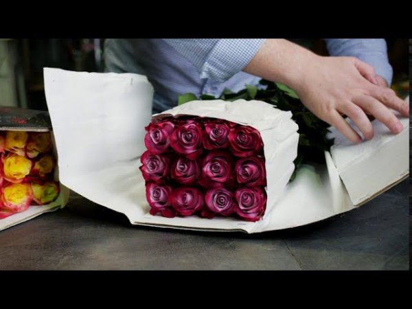 GFG | ЦВЕТЫ ОПТОМ. Розы микс. Плантация Tessa. Эквадор