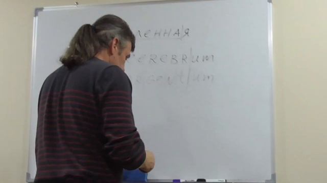 Беседа 10. Часть 2 смотреть онлайн