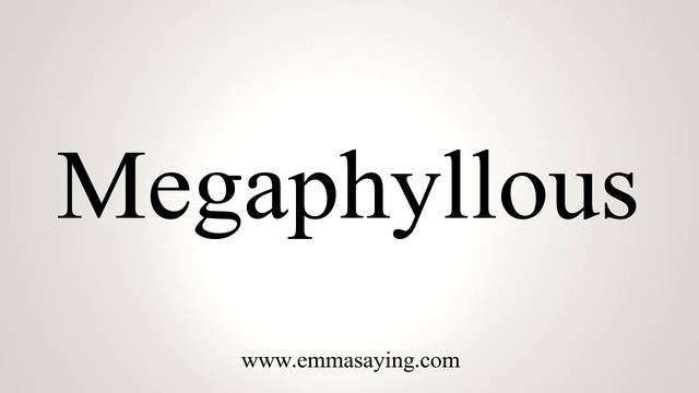 How To Say Megaphyllous смотреть онлайн