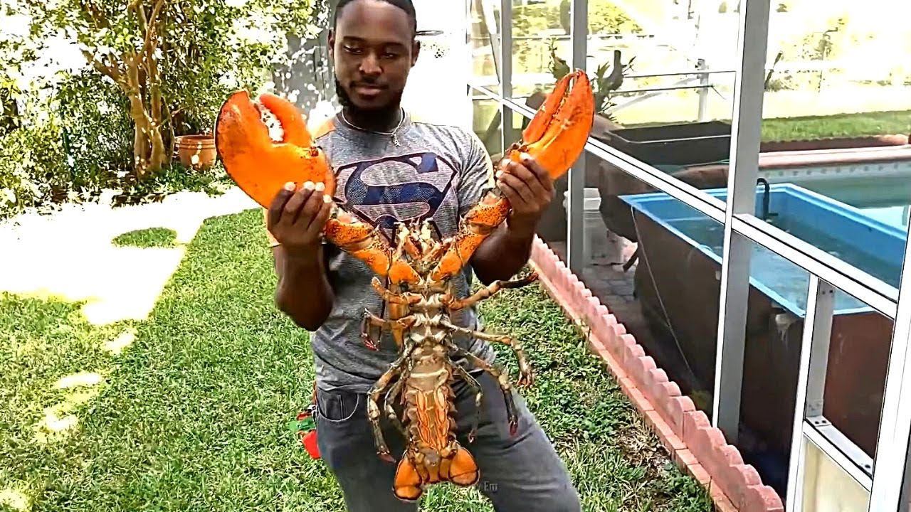 Лобстеры/Lobsters | Почему они такие дорогие ? смотреть онлайн