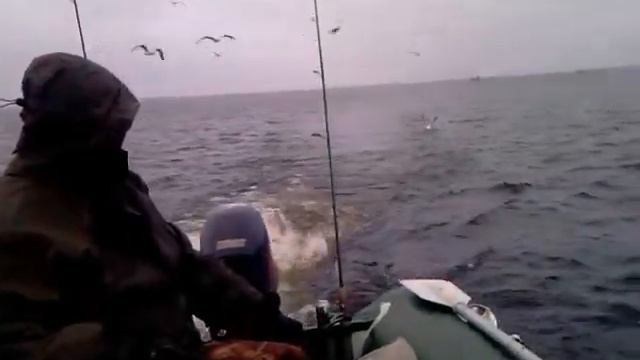 PikeFinder-2012\Izhfish смотреть онлайн