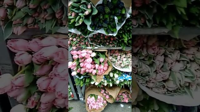 Тюльпаны Челябинск смотреть онлайн
