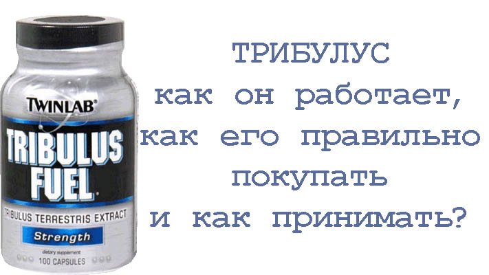 Трибулус: как он работает, как его правильно покупать и принимать смотреть онлайн