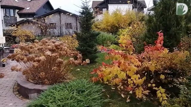 Видео журнал «Сады в отличной форме №26» Один из садов ландшафтного дизайнера Ирины Сахаровой. смотреть онлайн