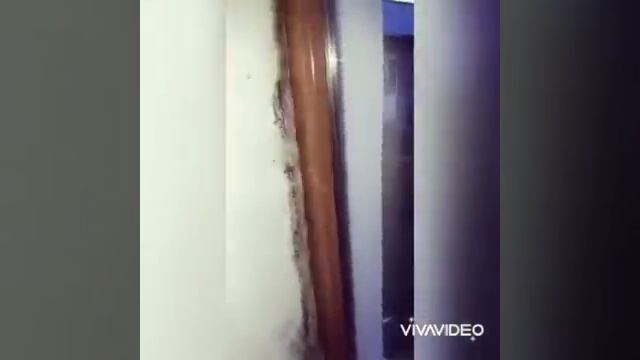 Как избавится от сырости и плесени??)) смотреть онлайн