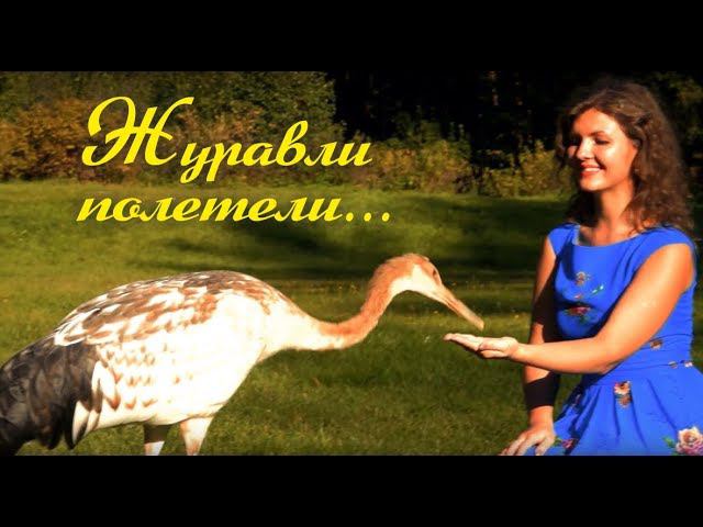 Журавли полетели... | Наталья Богданова