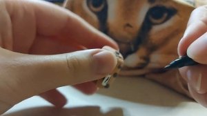 шлепа из воздушного пластилина! игрушка от блоптоп!) следующая игрушка лиса